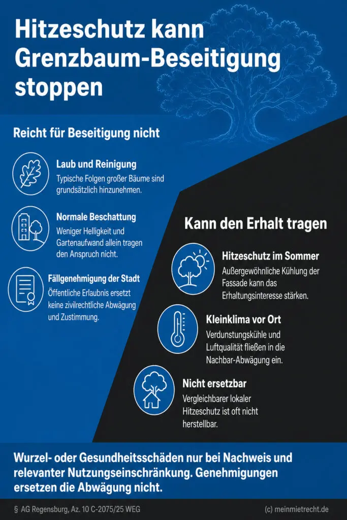 Diagonale Gegenüberstellung: Typische Baumlasten versus außergewöhnlicher Hitzeschutz als Argument für den Baumerhalt.