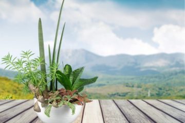 Terrasse einer Wohnung als Wohnfläche – Wann liegt eine Terrasse vor?