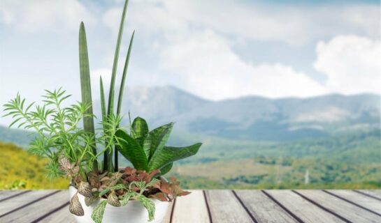 Terrasse einer Wohnung als Wohnfläche – Wann liegt eine Terrasse vor?