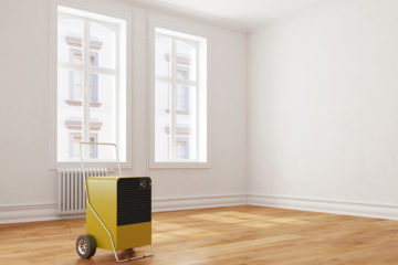 Schadensersatzansprüche des Mieters bei Mängeln der Mietwohnung