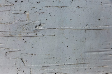 Mietminderung bei Haarrissbildung im Wandputz einer hochpreisigen Wohnung