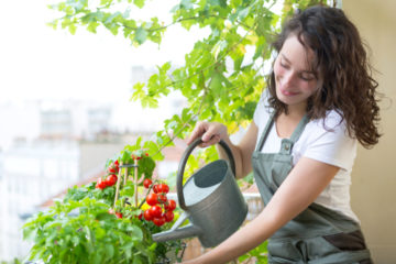 WEG – Gießen von Balkonblumen zur Unzeit – Unterlassungsanspruch