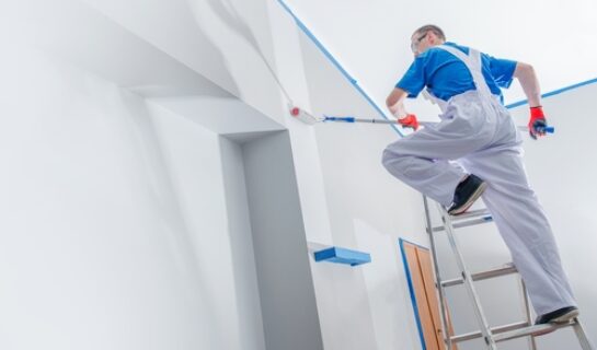 WEG-Anlage – bauliche Veränderung durch Fassadenneuanstrich