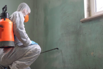 Beseitigungsanspruch des Mieters bei Schimmelbildung in Altbauwohnung