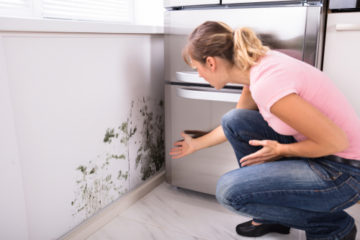 Schimmelpilzbefall auf Grund eines bauphysikalischen Mangels der Wohnung – Schadensersatz