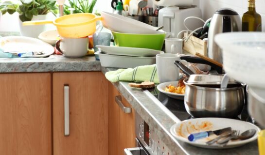 Fristlose Mietvertragskündigung – Nichtputzen und fehlende Müllbeseitigung
