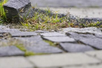 WEG – Instandsetzung von Pflastersteinen vor Wohnungseingangstür – Pflichten der WEG